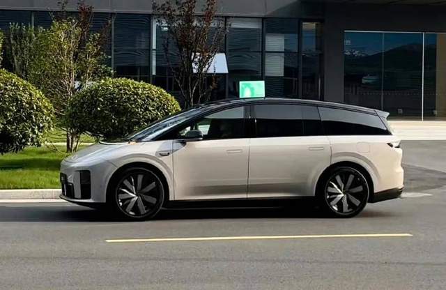 上半年“最好卖的”十大新能源车，吉利排第二，特斯拉跌到第五？