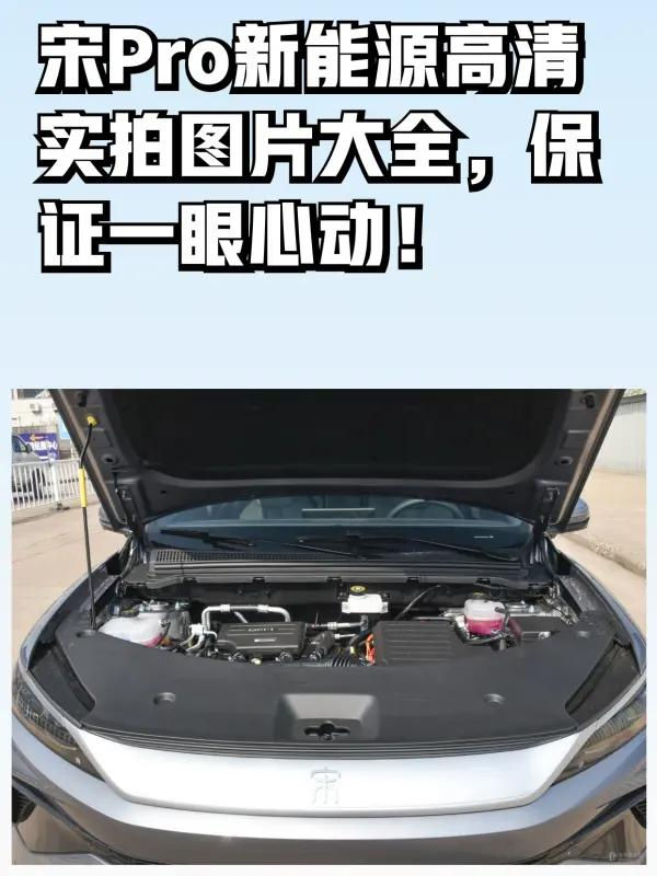 宋Pro新能源动力系统图解